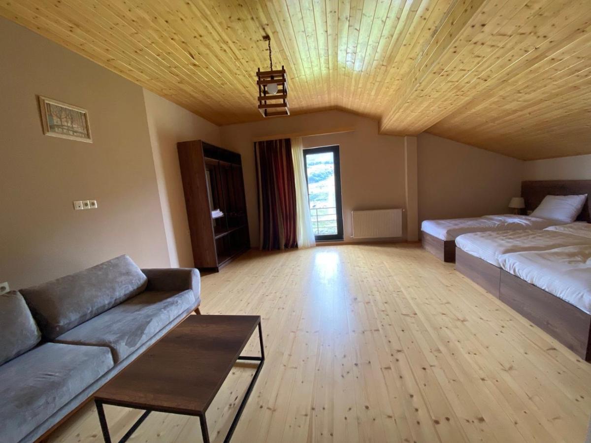 Hotel Axien Kazbegi 외부 사진